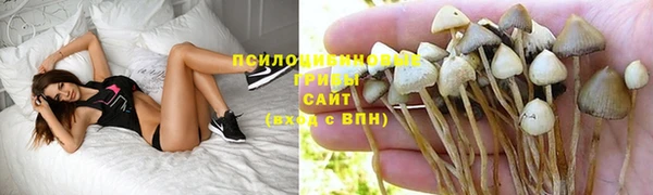 тгк Белокуриха