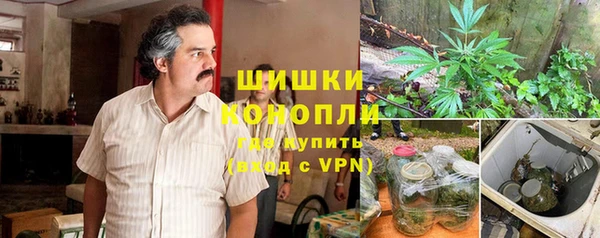 гидра Белоозёрский