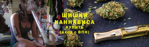 гидра Белоозёрский