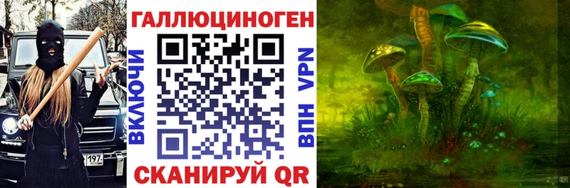 Галлюциногенные грибы мицелий Купить Кольчугино
